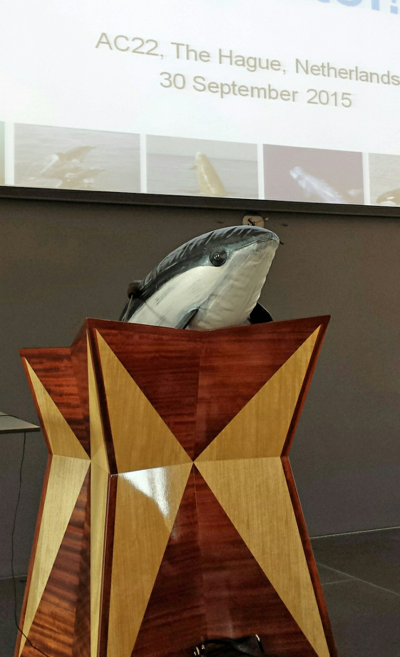 Harbour porpoises are given a voice at AC22