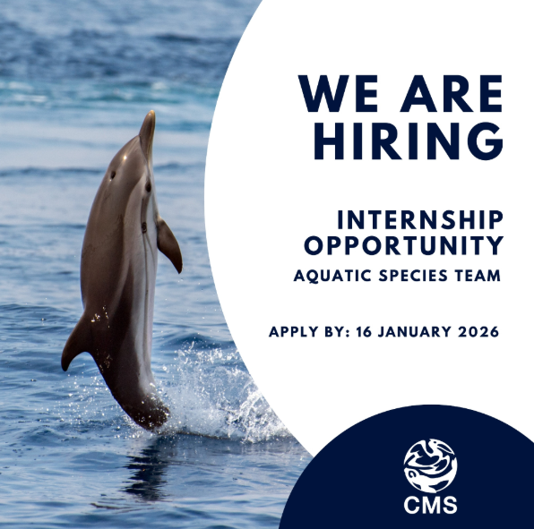 2026 cms internship ad