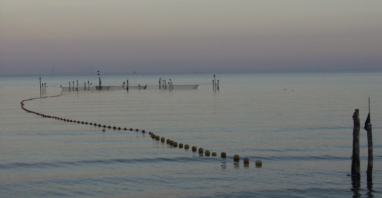 Photo by Krzysztof Skóra Hel Marine Station