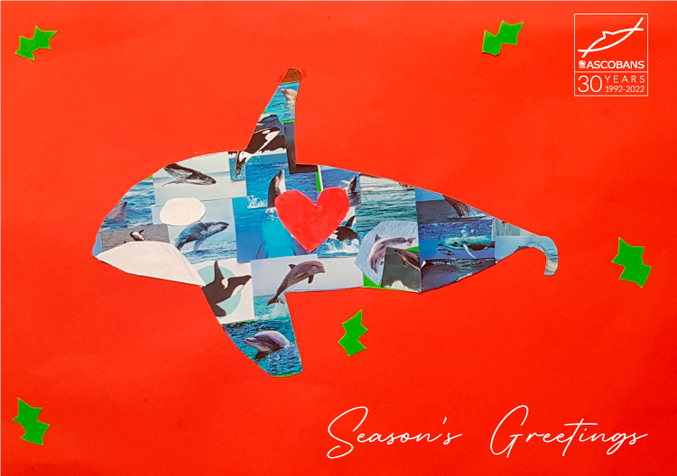 ASCOBANS Season's Greetings e-card 2021. Artwork by Claire Parker, Independent Bonn International School.