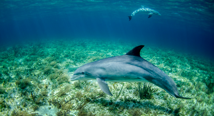 Photo by NOAA on Unsplash 