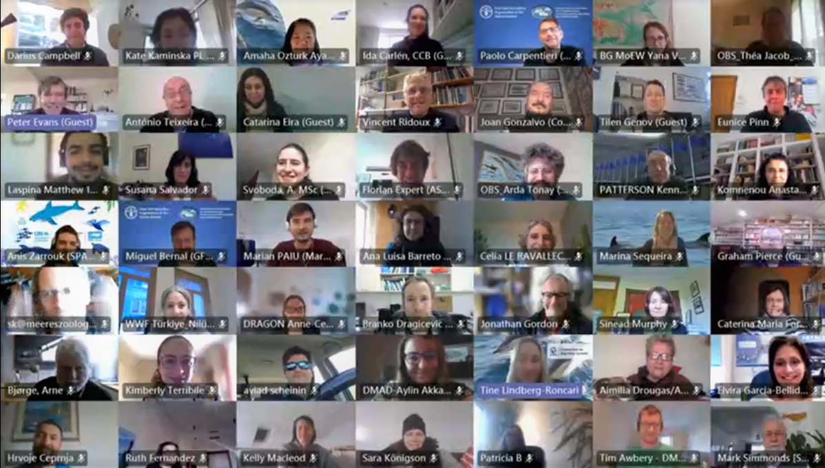 Some of the participants of the 1st Meeting of the Joint Bycatch Working Group. 