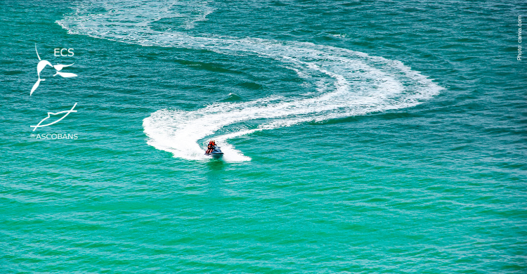 Photo from canva.com