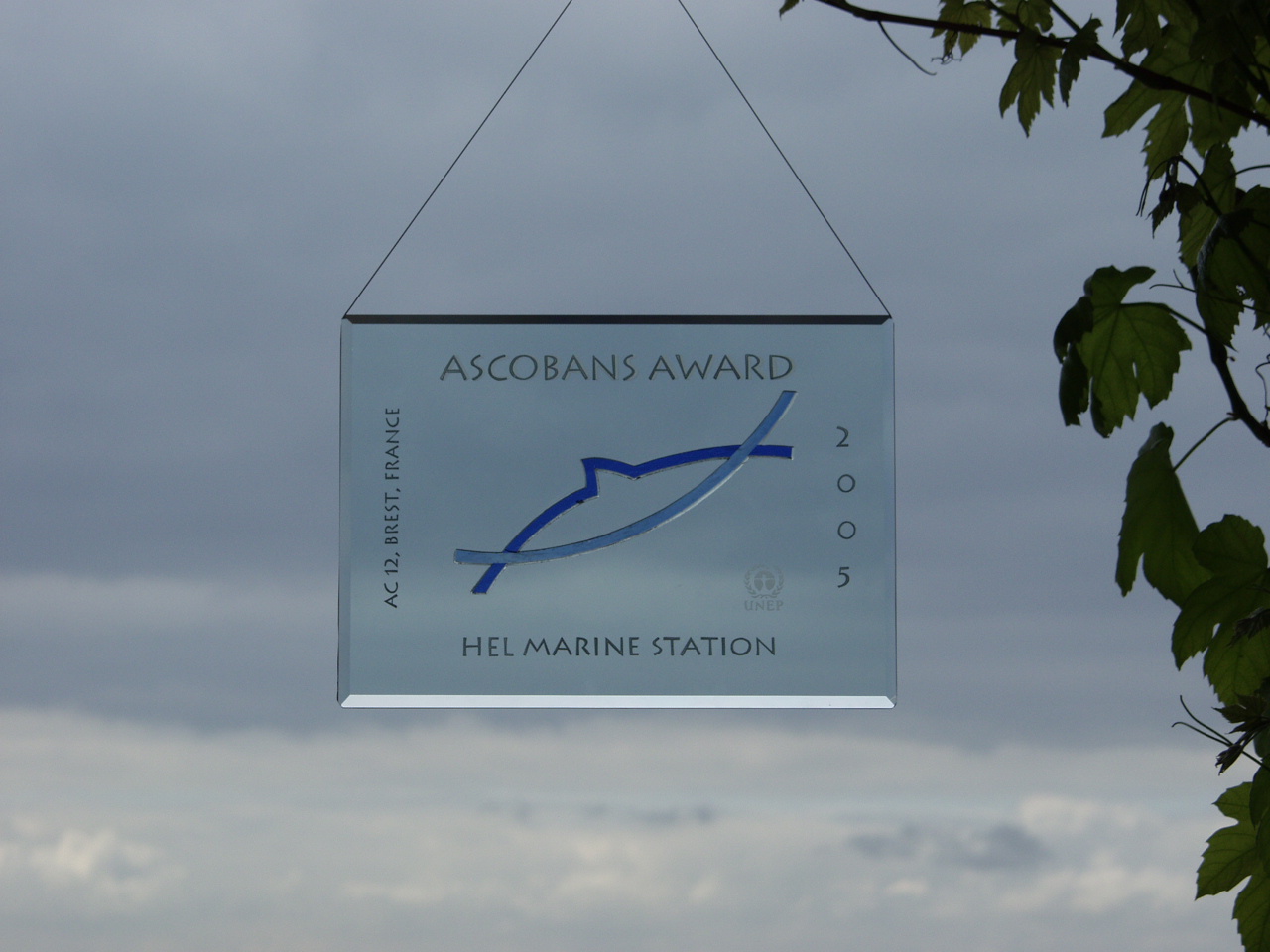 Award 2005