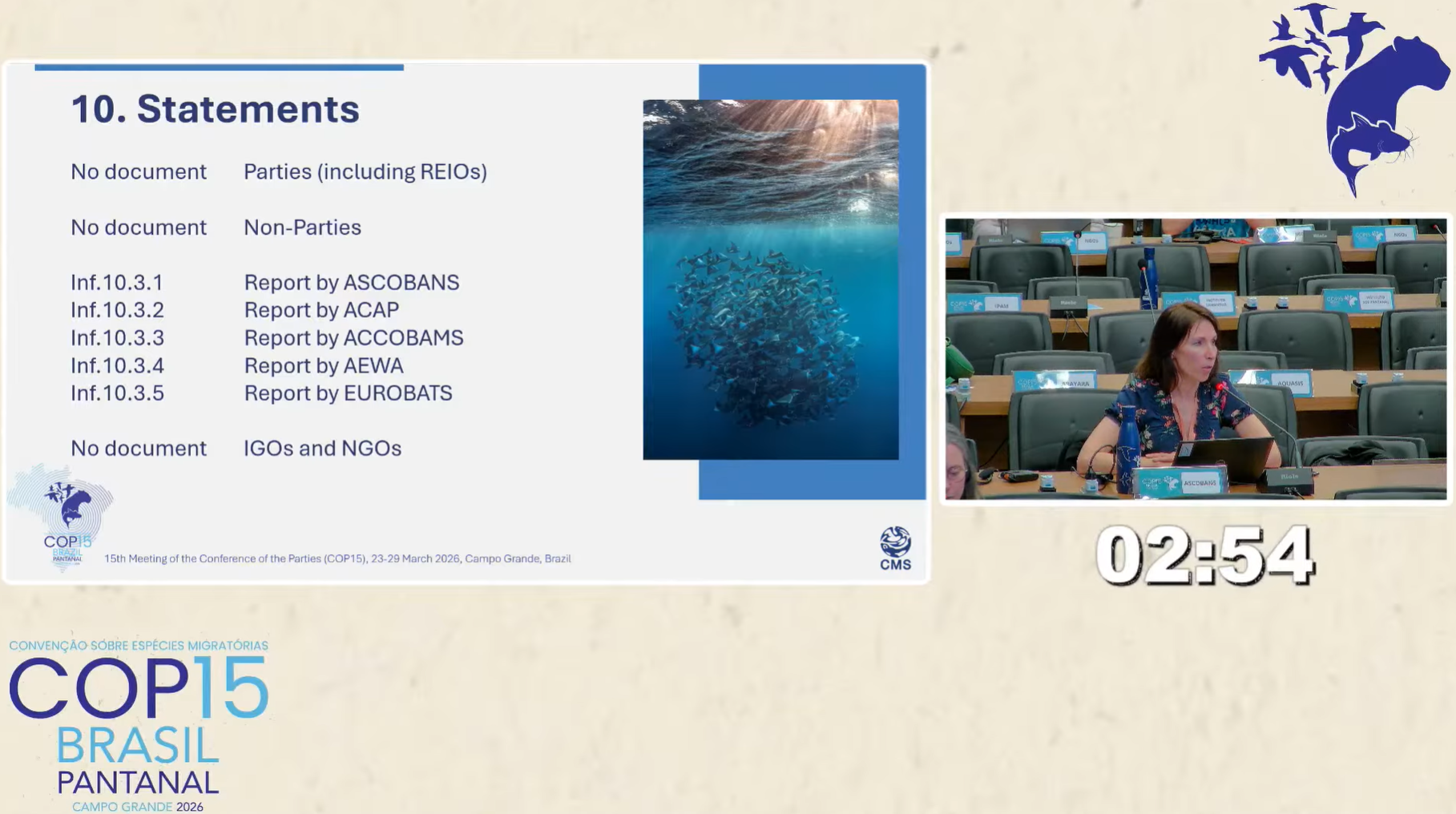 ASCOBANS Coordinator, Jenny Renell, delivering a statement at CMS COP15.