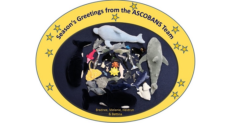 Season's Greetings!