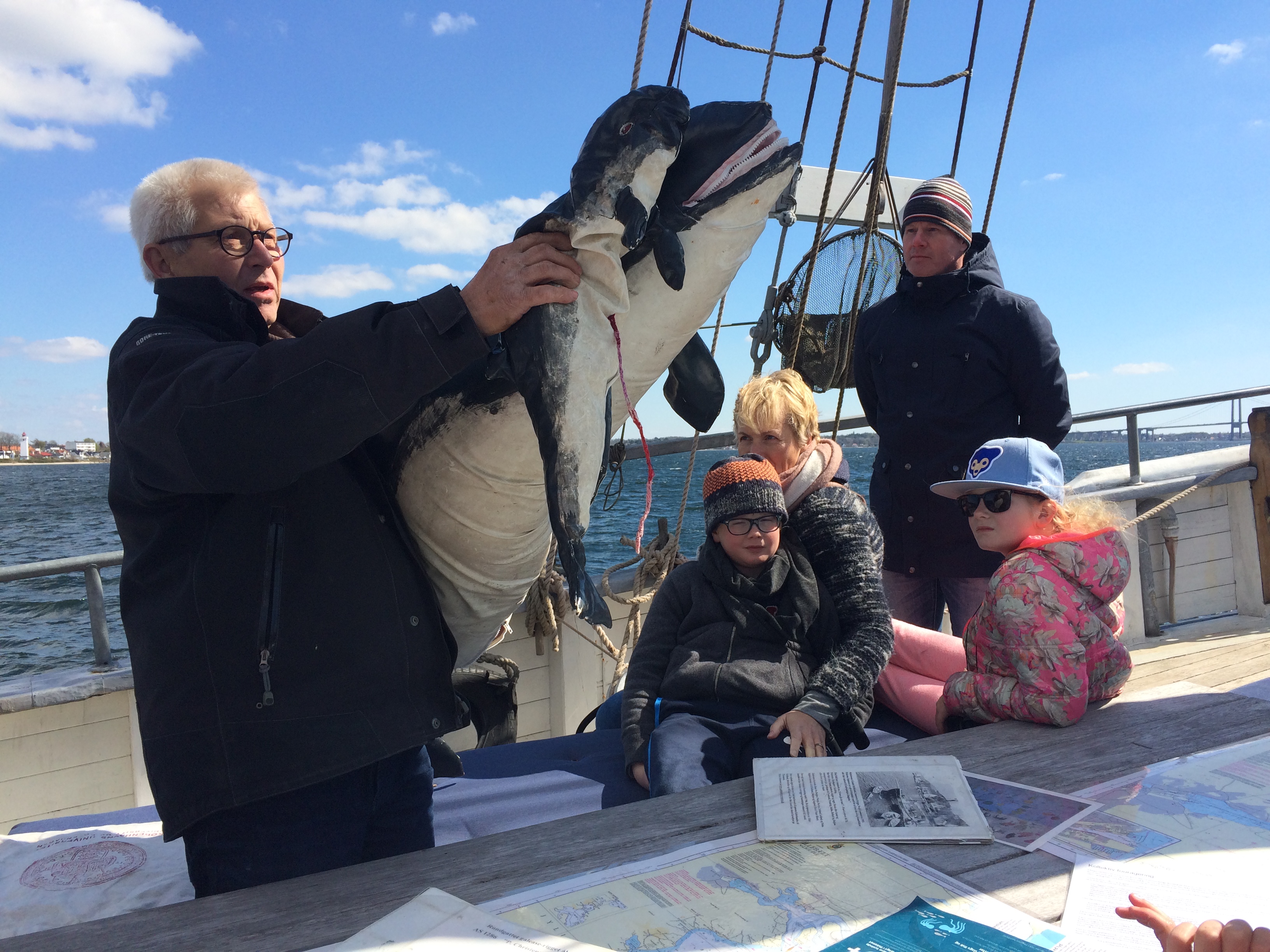 Harbour porpoise watching on the Aventura, Middelfart, Denmark