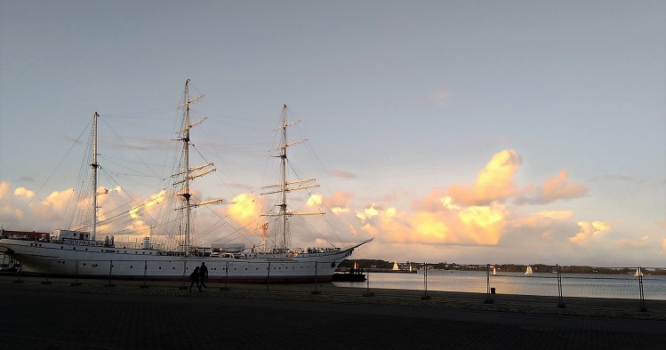 View in front of the meeting venue, Ozeaneum, looking over to the sea. © Jenny Renell / ASCOBANS Secretariat.