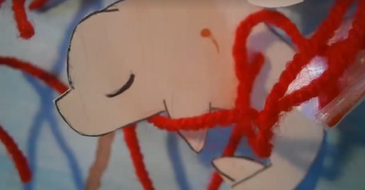A screenshot of the "Hello, little whale" video by Laura Stattkus