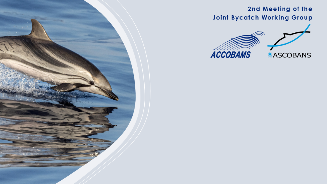 © ASCOBANS Secretariat