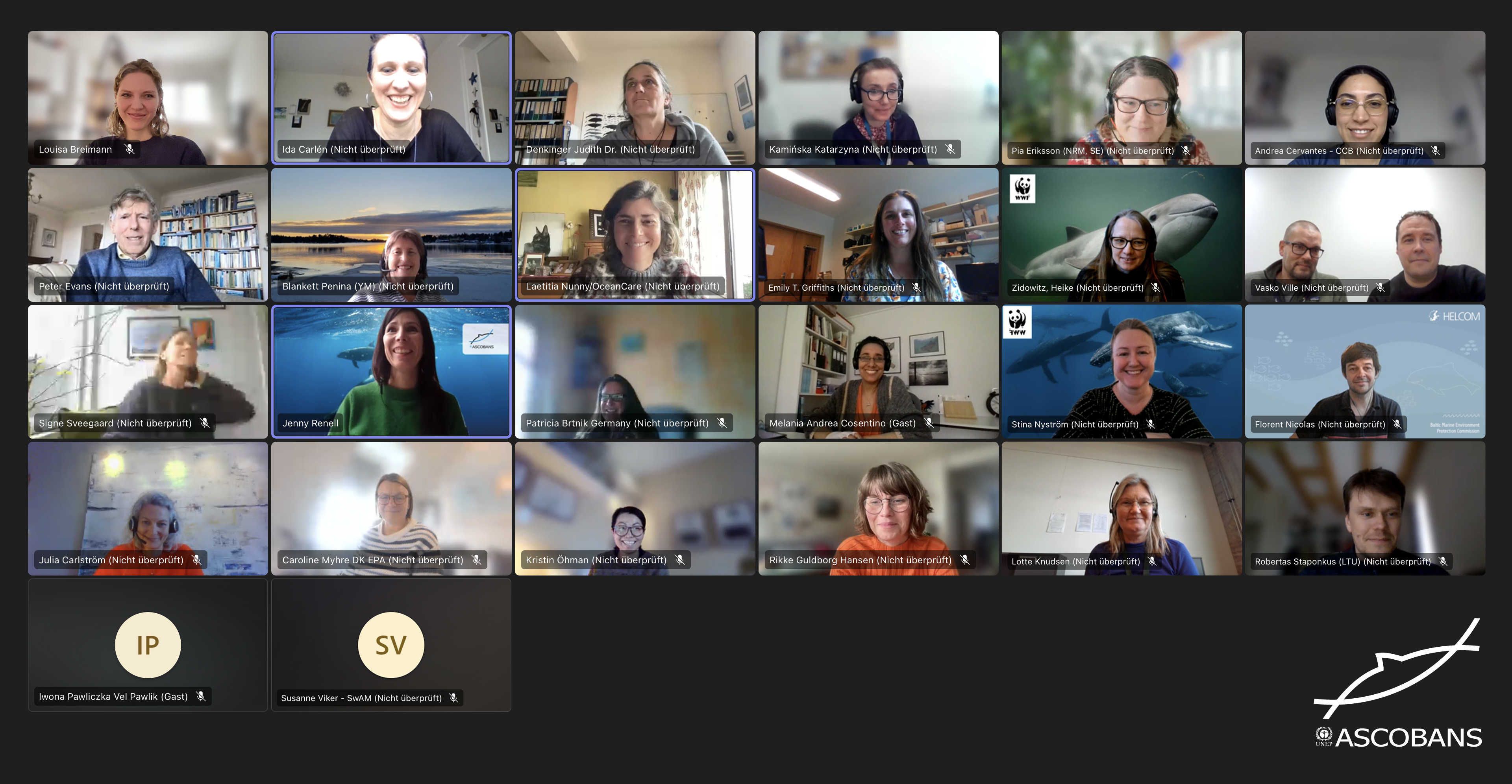 Some of the JG21 participants in group picture in the online meeting. © ASCOBANS Secretariat