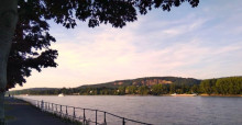 View over the River Rhine in Bonn. © Jenny Renell / ASCOBANS Secretariat.