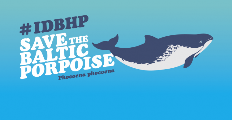 The International Day of the Baltic Harbour Porpoise 2022