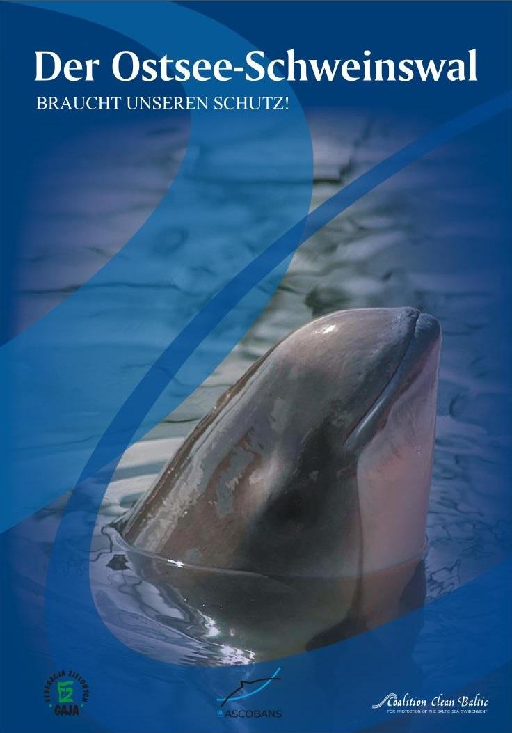 The Baltic Harbour Porpoise Needs Protection 