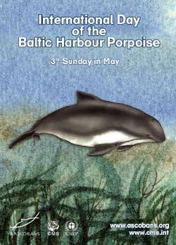 International Day of the Baltic Harbour Porpoise
