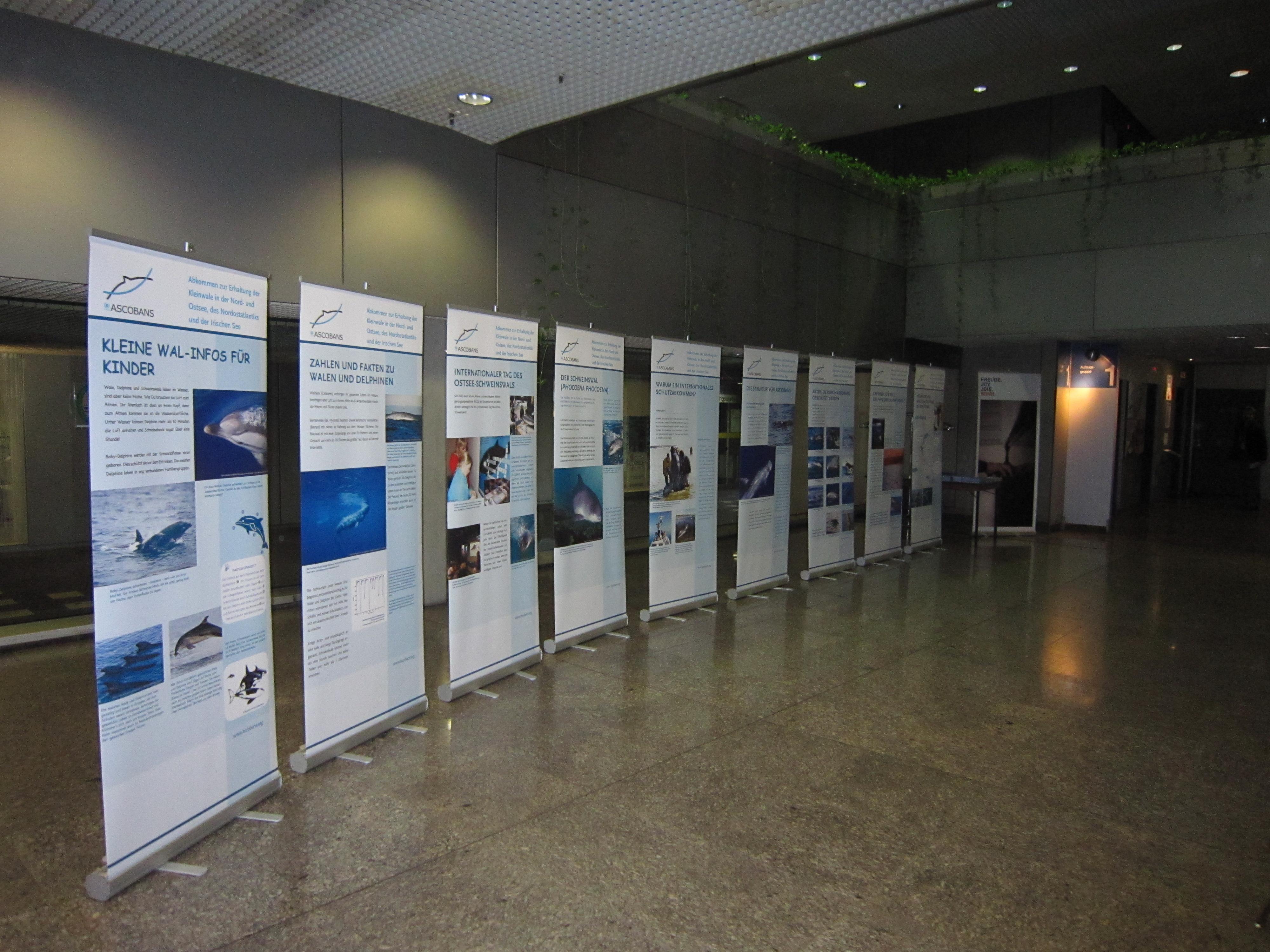 ASCOBANS 10-banner Exhibition