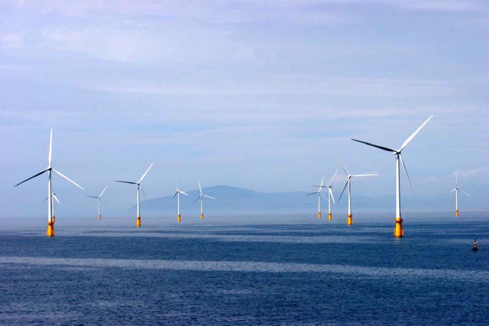 Offshore Windfarms and Marine Mammals