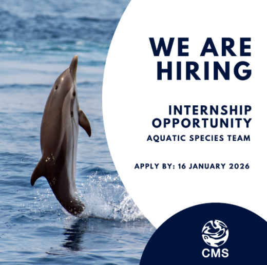 2026 cms internship ad