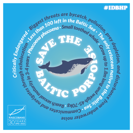 Infographic - Baltic harbour porpoise