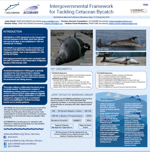 Intergovernmental Framework to Tackling Cetacean Bycatch