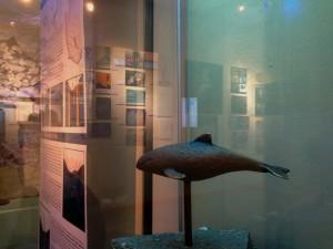 Exhibition "The last 300" in Stralsund, Germany